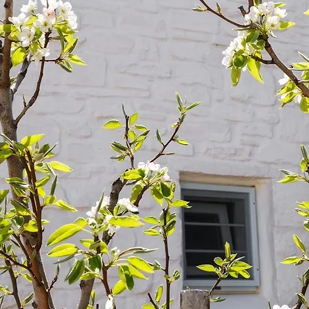 Holiday * Lefkes (Paros)